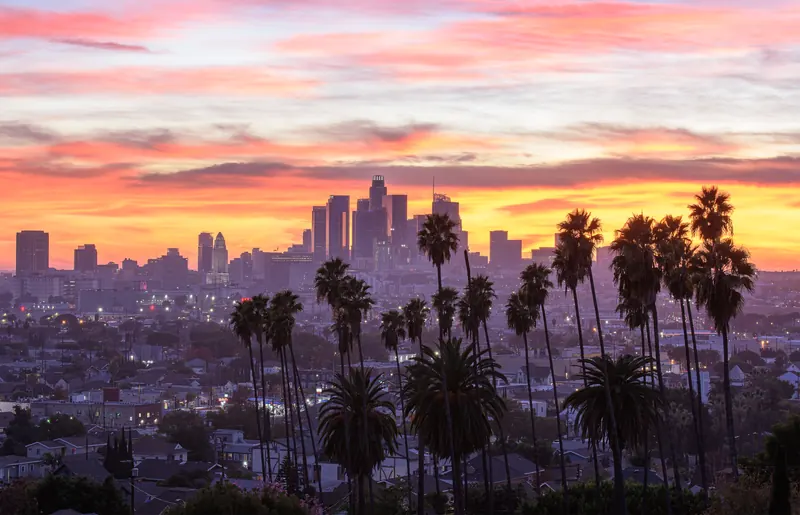 Palm trees silhouetted against a Los Angeles sunset