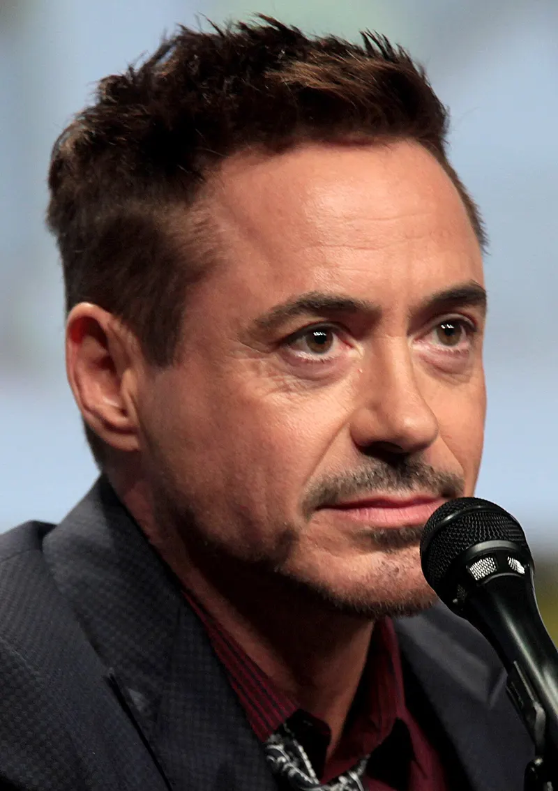 Robert Downey Jr. speaking into a microphone at a convention panel