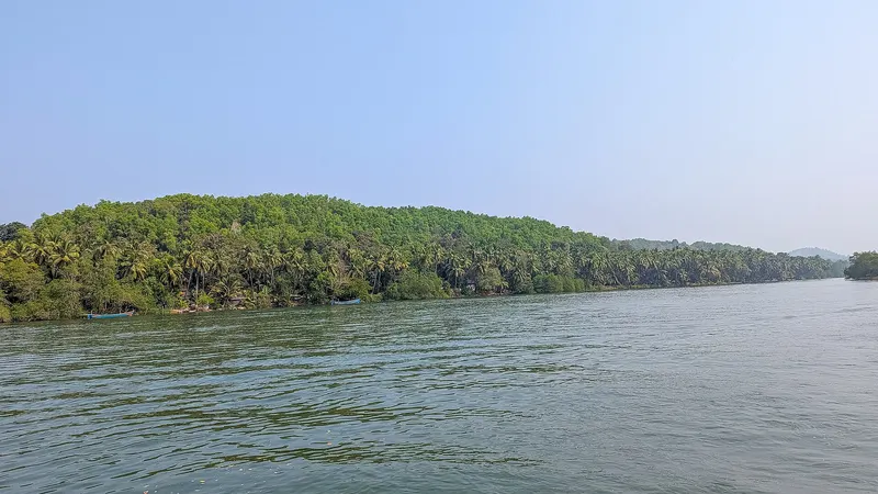 Palm-lined riverbank and backwaters at Honnavar